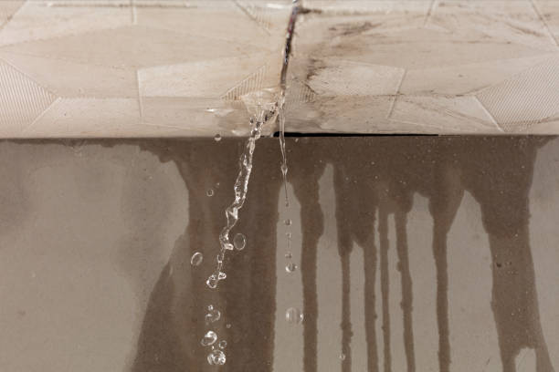 Professional Burst Pipe Cleanup technician working in Monroe, TN